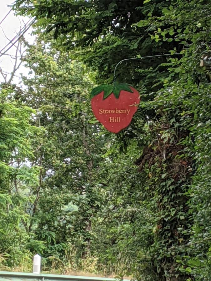 Strawberry Hill Bed & Breakfast Chissey-en-Morvan Eksteriør bilde